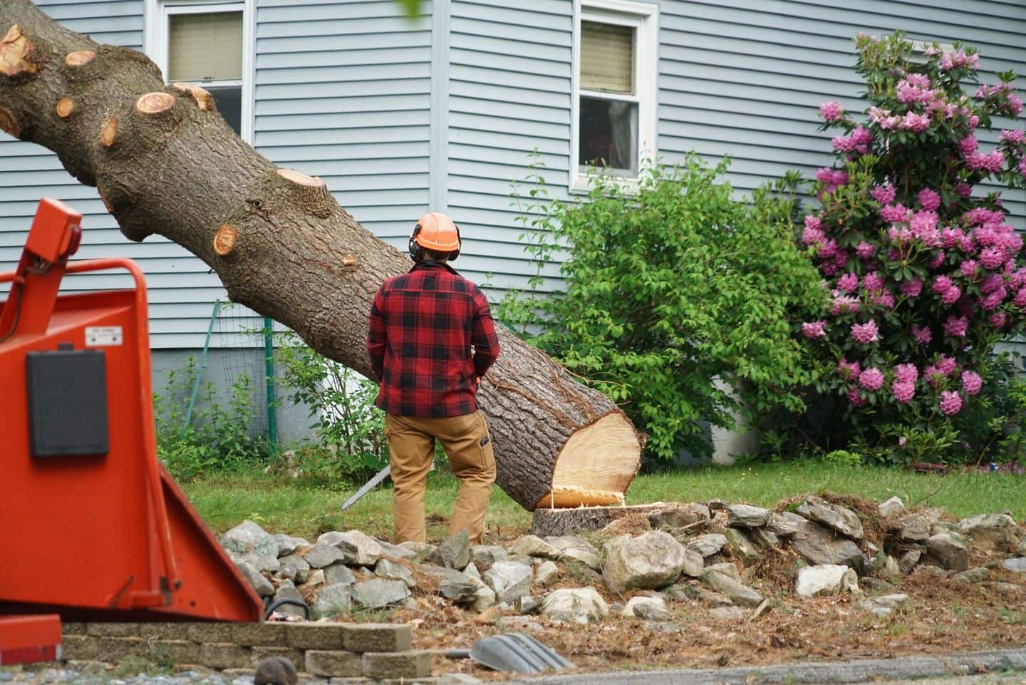 Allen's Tree Service team