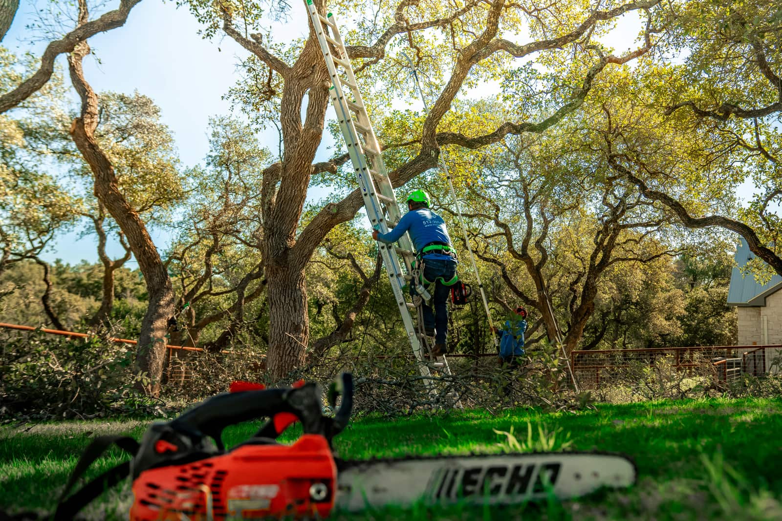 Comprehensive lawn care
